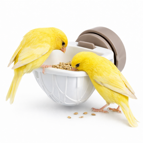 Distributeur de Nourriture pour Perruches – Portapastoncino Parrot Planet.fr