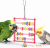 Abacus Fun – Jouet éducatif en acrylique pour petites et moyennes perruches | 13 x 15 cm| ParrotPlanet.fr