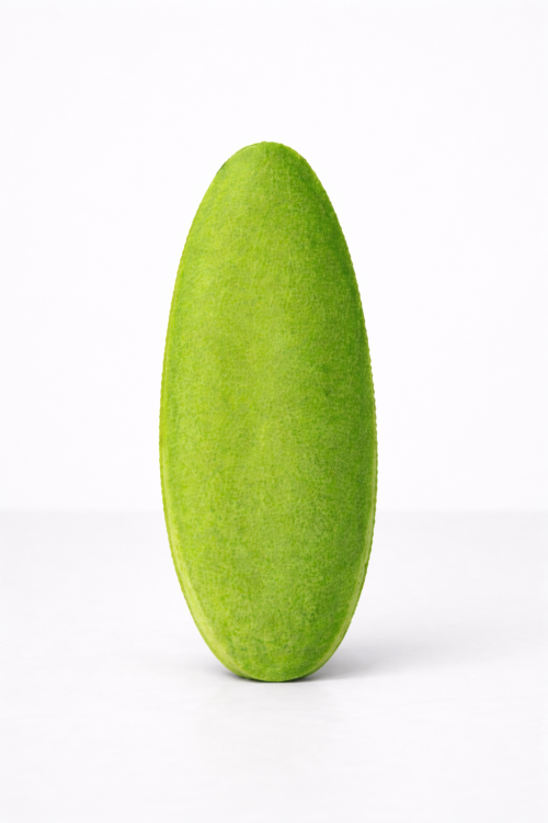 Seiche au Citron pour Perroquets et Oiseaux Exotiques de ParrotPlanet.fr