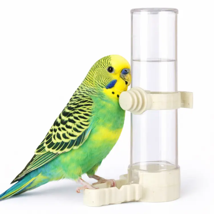 Abreuvoir pour Perroquets et Autres Oiseaux 50 ml | Distributeur d’Eau pour Cage et Volière ParrotPlanet.fr