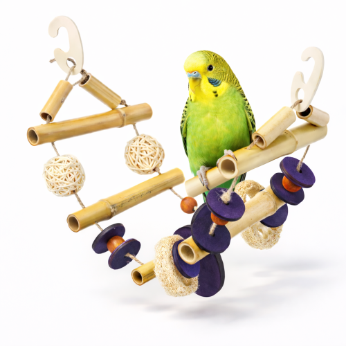 Échelle en bambou pour perroquets - Jouet multifonctionnel 45 cm Parrot Planet.fr