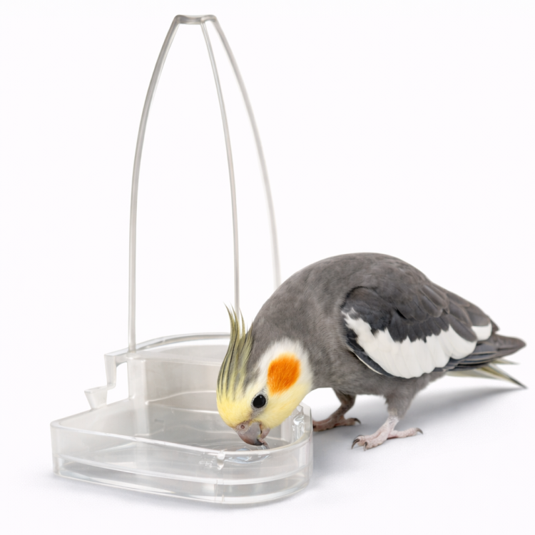 Banan - Karmidełko Poidełko - Karmidło bądź poidło dla papug i innych ptaków egzotycznych 90ml od ParrotPlanet.pl