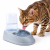 Gamelle 2 en 1 – Nourrissage et hydratation pour chiens et chats 0,5 L de ParrotPlanet.fr