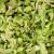 Powerki Vitapol Brocoli Lyophilisé 20 g – Friandise Naturelle pour Rongeurs de ParrotPlanet.fr