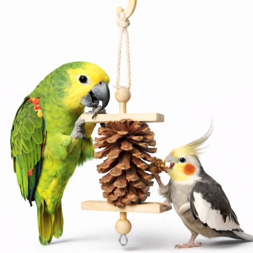 Sosnowa SzySzunia - zabawka dla wszystkich papug od ParrotPlanet.pl