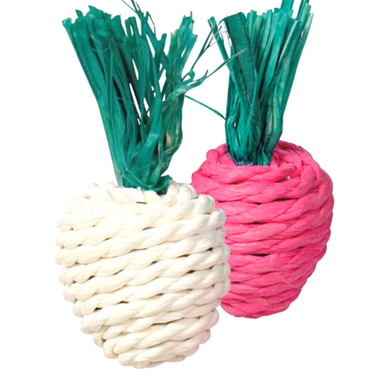 Jolies Fraises 8 cm – Jouet Naturel à Ronger 2 pièces | pour Rongeurs et Lapins de ParrotPlanet.fr