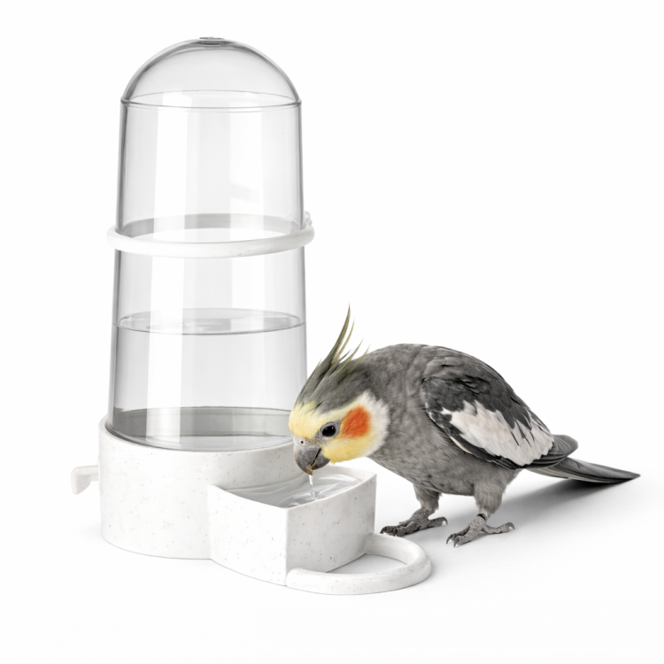 Karmidełko Poidełko - Karmidło bądź poidło | Miska dla papug i innych ptaków egzotycznych 265ml od ParrotPlanet.pl