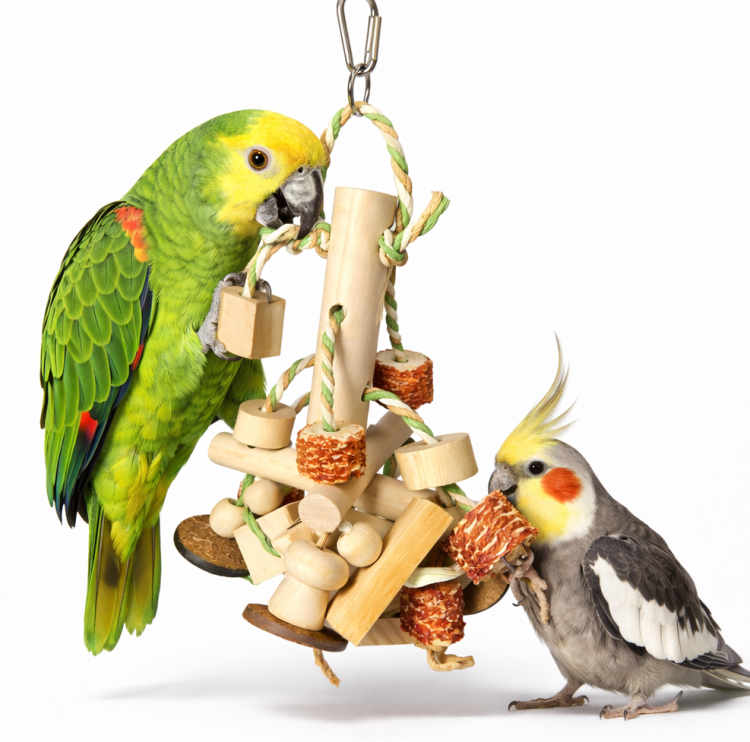 Kulki na Patyczku - zabawka dla małych, średnich i większych papug od ParrotPlanet.pl