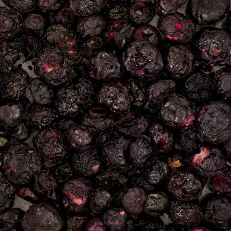 Myrtilles lyophilisées croustillantes sans additifs. Composition 100 % naturelle. Idéales comme récompense et pour varier l’alimentation des rongeurs de ParrotPlanet.fr