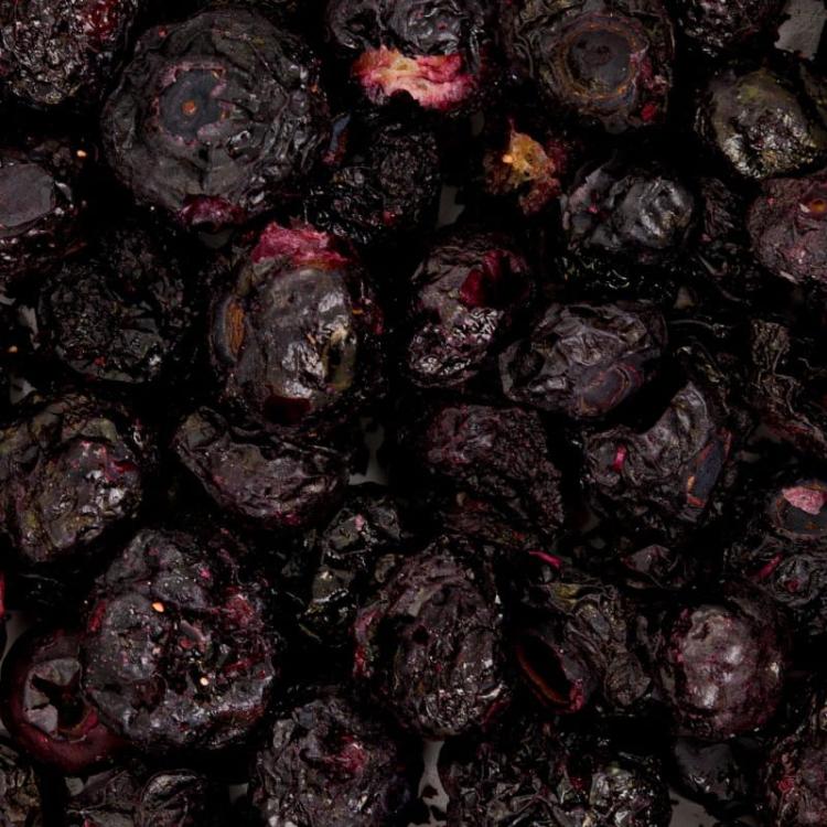 Myrtilles lyophilisées croustillantes sans additifs. Composition 100 % naturelle. Idéales comme récompense et pour varier l’alimentation des rongeurs de ParrotPlanet.fr