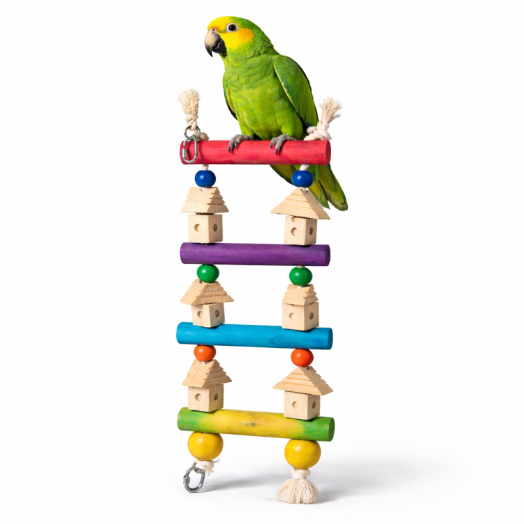 Domeczkowa Drabinka - zabawka dla wszystkich papug od ParrotPlanet.pl