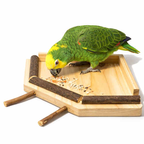 Stolik dla PaPug rozm. S 19 cm od ParrotPlanet.pl