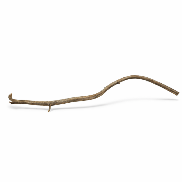 Liana Rattanowa - długa naturalna żerdź dla wszystkich PaPug 20cm-40cm od ParrotPlanet.pl