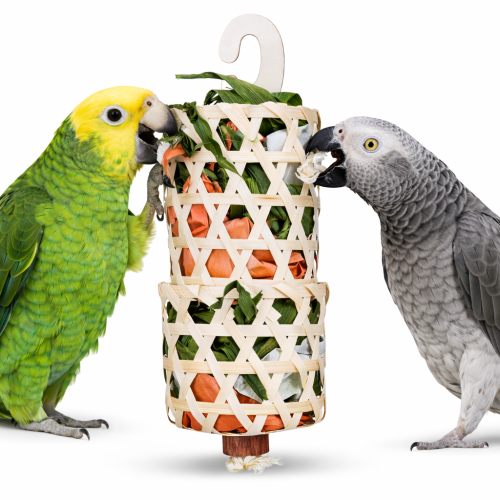 Jouet Grignote & Explore pour Perroquets – 35 cm de ParrotPlanet.fr