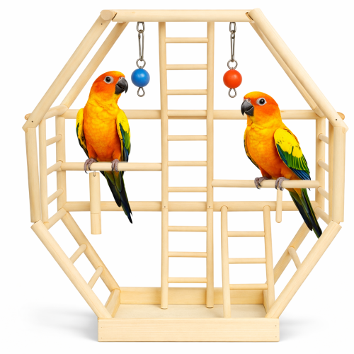 Papuzie Drabinki - Drewniany Plac Zabaw Dla Papug/Ptaków od ParrotPlanet.pl