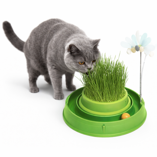 Tor Catit Play 'n Scratch | Miseczka dla kota z trawą | 4 x 36 x 39,5 cm, zielony od ParrotPlanet.pl