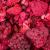 Powerki Trésors de la Forêt – Fruits des Bois Lyophilisés pour rongeurs 20 g de ParrotPlanet.fr