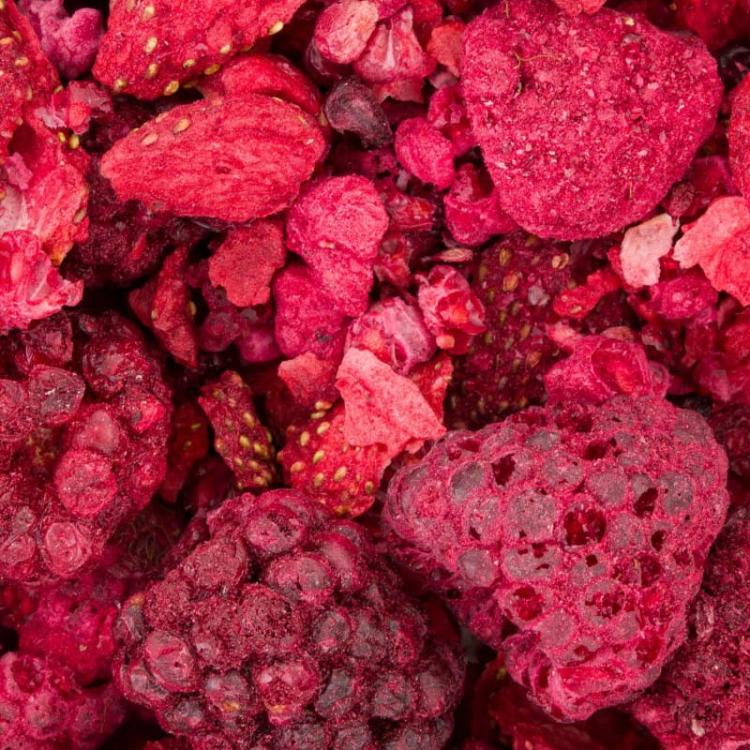 Powerki Trésors de la Forêt – Fruits des Bois Lyophilisés pour rongeurs 20 g de ParrotPlanet.fr