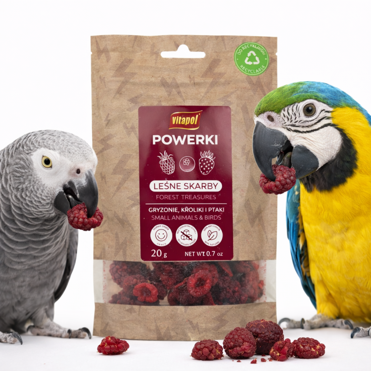 Powerki Leśne Skarby – Liofilizowane Owoce Leśne dla Papug 20 g od ParrotPlanet.pl