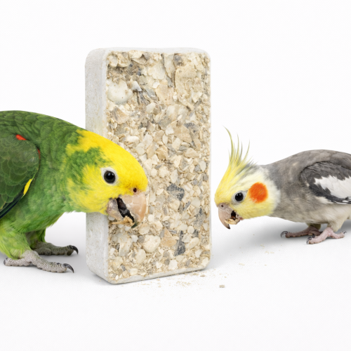Wapienko z Muszlami - dla wszystkich papug 30g od Parrotpanet.pl