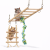Sky Walker – Aire de Jeux Suspendue pour Rongeurs de ParrotPlanet.fr
