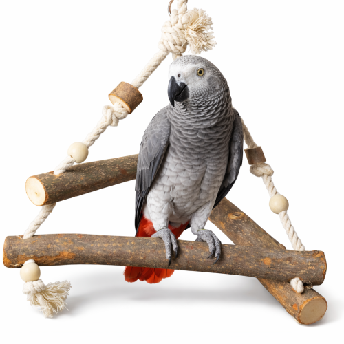 Balançoire Triangulaire en Bois pour Perroquets Moyens et Grands | Perchoir Suspendu 27 x 27 x 27 cm ParrotPlanet.fr