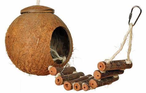 Maison en Noix de Coco avec Échelle – jouet naturel et cachette pour rongeurs 50 × 14 cm de ParrotPlanet.fr