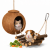 Maison en Noix de Coco avec Échelle – jouet naturel et cachette pour rongeurs 50 × 14 cm de ParrotPlanet.fr