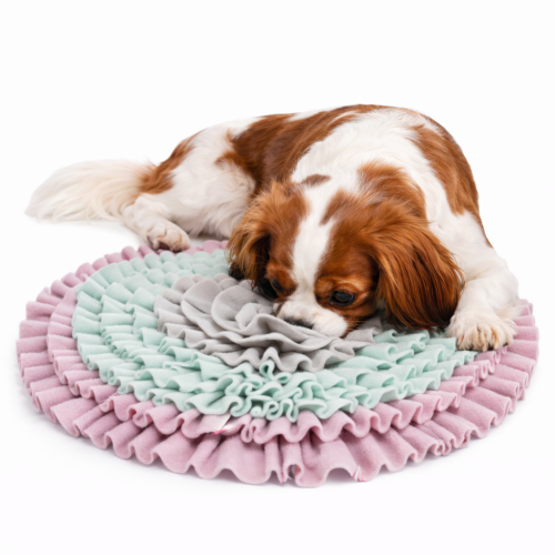 Mata Węchowa dla psa -Junior Sniffing Carpet - zabawka | śr. 38 cm od ParrotPlanet.pl