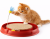 Tor Catit Play'n Scratch z drapakiem | zabawka dla kota | 4 x 36 x 39,5 cm | czerwony od ParrotPlanet.pl
