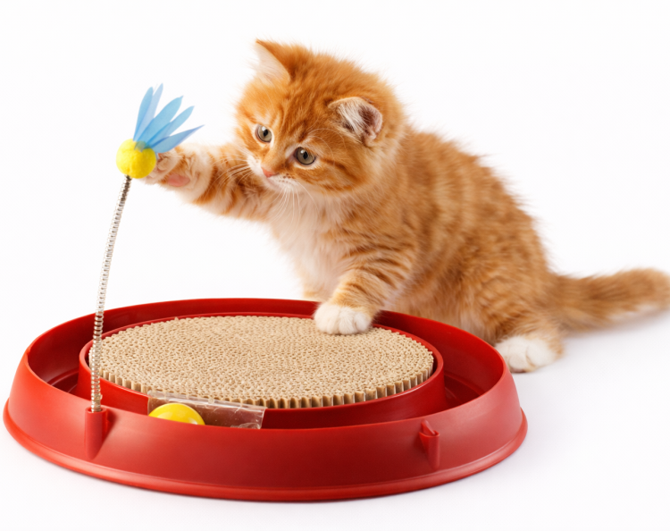 Tor Catit Play'n Scratch z drapakiem | zabawka dla kota | 4 x 36 x 39,5 cm | czerwony od ParrotPlanet.pl
