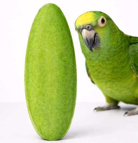 Seiche au Citron pour Perroquets et Oiseaux Exotiques de ParrotPlanet.fr