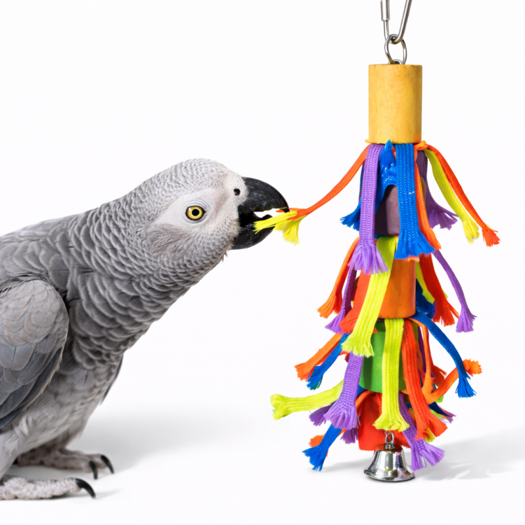 Frędzelki - zabawka dla wszystkich papug od ParrotPlanet.pl