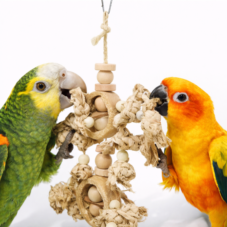Koralikowy splot - drewniana, uniwersalna zabawka dla małych, średnich i dużych papug od ParrotPlanet.pl