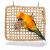 Tapis d’Escalade et à Picorer pour Perroquets | Tapis en Herbes Marines 30 x 30 cm ParrotPlanet.fr