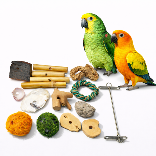 Kit DIY pour créer des jouets personnalisés pour toutes les catégories de perroquets  de ParrotPlanet.fr