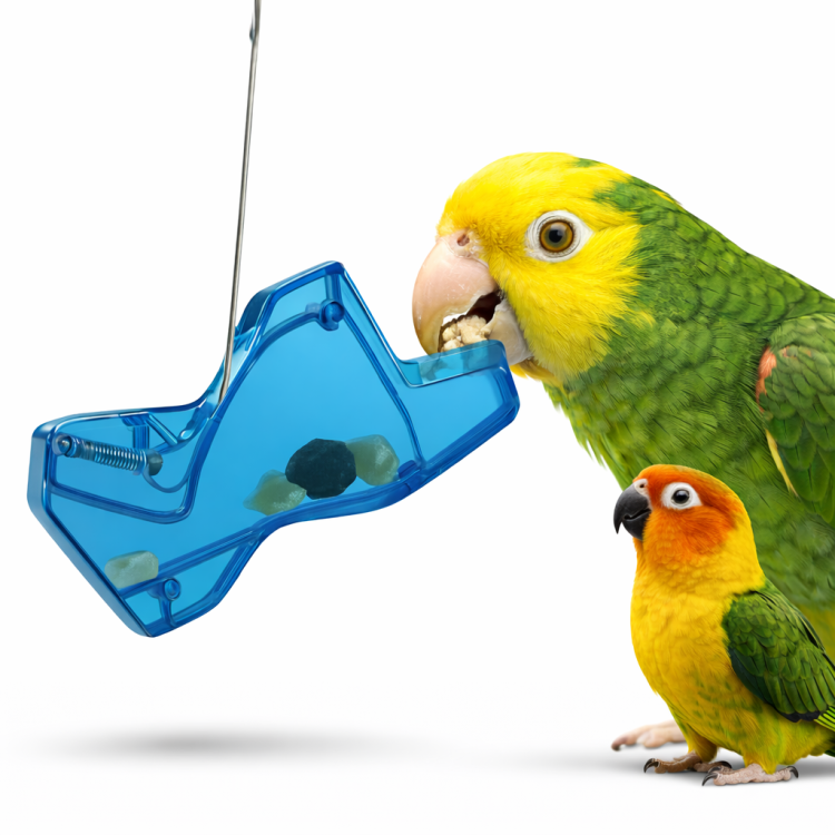 Blue Treat Seeker – Zabawka Ruchowa (nauka żerowania) dla papug  od ParrotPlanet.pl