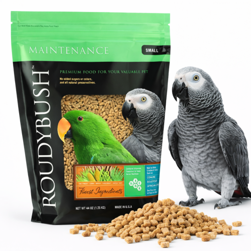 RoudyBush Maintenance Small 0,23 kg – pour amazones, gris du Gabon, cacatoès et oiseaux de taille similaire de ParrotPlanet.fr
