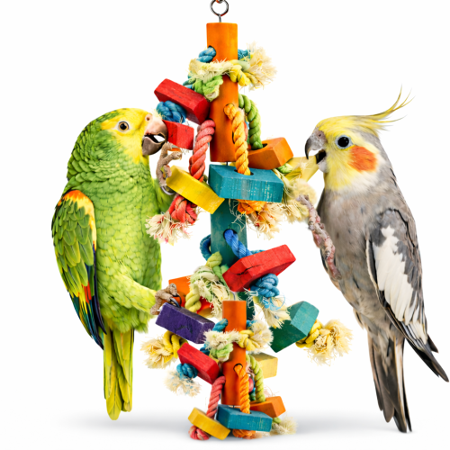 Dziobolub - drewniana zabawka dla średnich i dużych papug od ParrotPlanet.pl