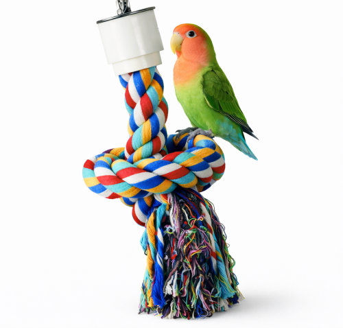 Jouet d'exploration Zig Zag S 17 cm pour petites perruches - Parrot Planet.fr