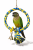 Mini Power Ring - Huśtawka Koło - dla mniejszych papug od ParrotPlanet.pl