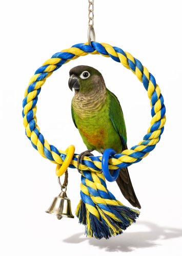 Mini Power Ring - Huśtawka Koło - dla mniejszych papug od ParrotPlanet.pl