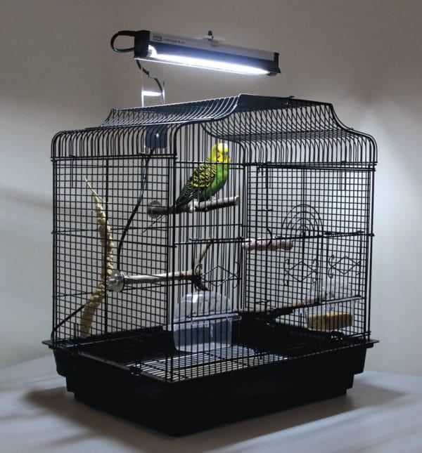 Arcadia Puresun Mini - Zestaw oświetleniowy - lampa- dla papug od ParrotPlanet.pl