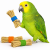 Triple Folie | jouet pour tous les perroquets  de ParrotPlanet.fr