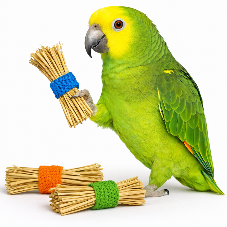Triple Folie | jouet pour tous les perroquets  de ParrotPlanet.fr