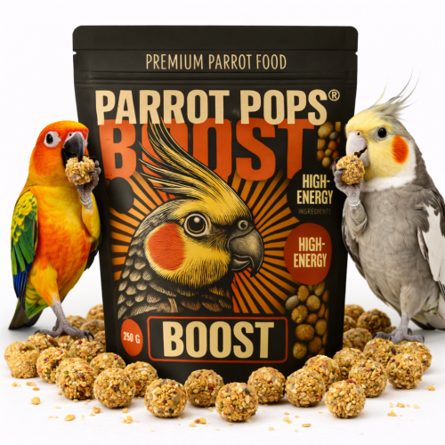 Parrot Pops BOOST - Énergie naturelle pour petites et moyennes perruches 250g  de ParrotPlanet.fr