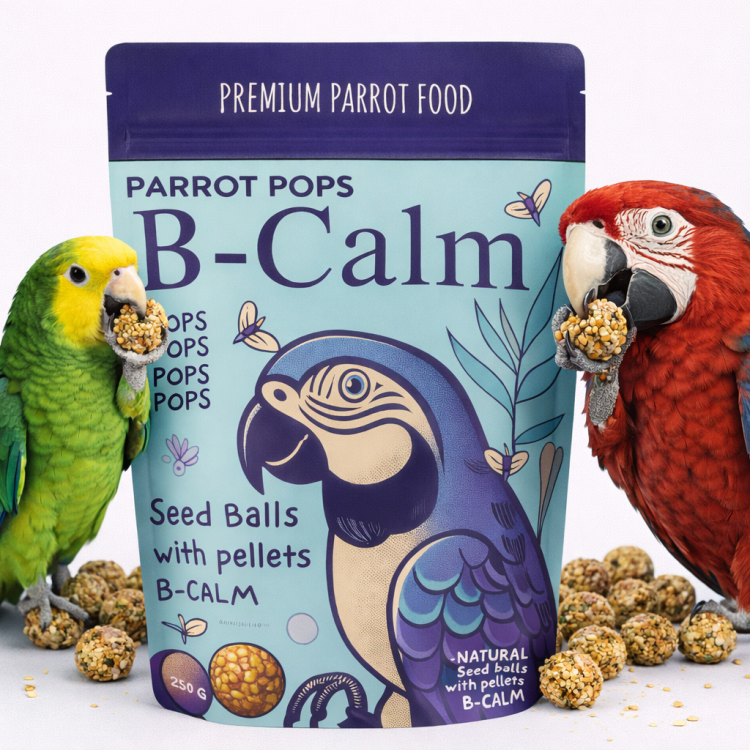Parrot Pops B-Calm pour grands perroquets - Équilibre naturel, 250g de  ParrotPlanet.fr