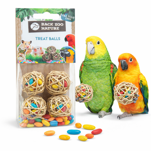 Balles en osier avec graines de tournesol pour perroquets – jouet de foraging naturel, 6 pièces ParrotPlanet.fr