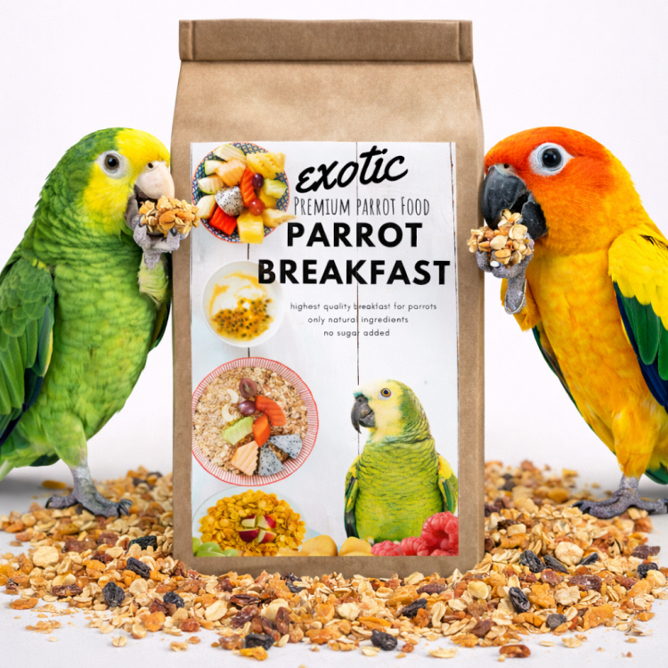 HOT EXOTIC Parrot Breakfast - Papuzie danie śniadaniowe, lub obiadowe na ciepło dla wszystkich papug 150g od ParrotPlanet.pl