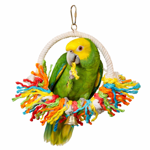 Bawełniana kolorowa obręcz dla średnich papug rozm.M od ParrotPlanet.pl